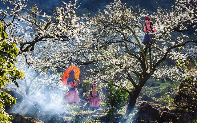 Du lịch Việt Nam trước vận hội mới: Thể chế mở đường, tăng trưởng cất cánh